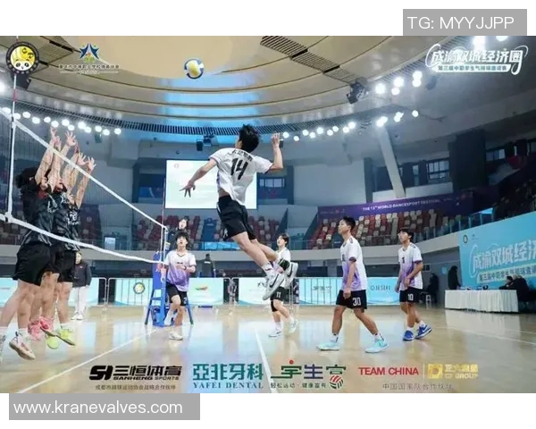 重庆排球队夺冠最新排球意识TOP10揭晓引发热议